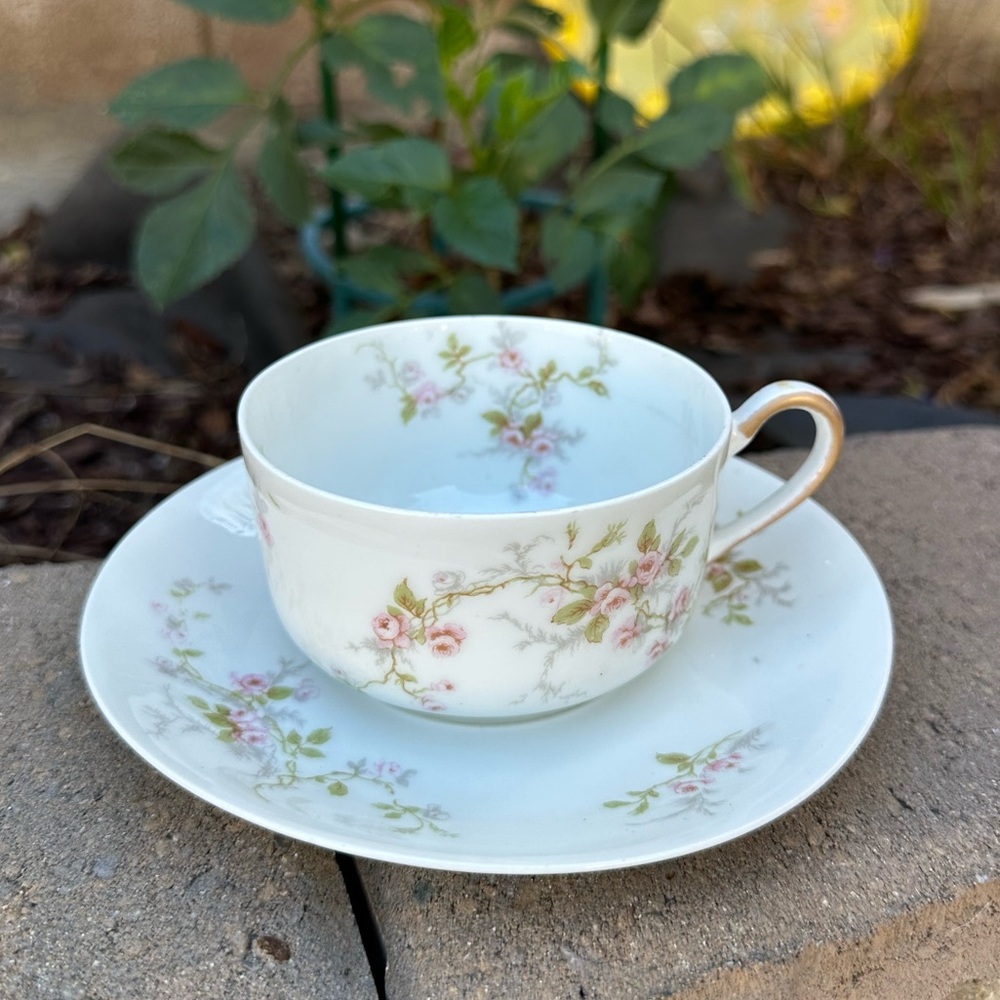 Limoges Antique Tea Cup